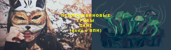 ALPHA-PVP Елизово