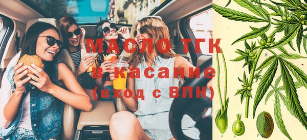 мет Елабуга