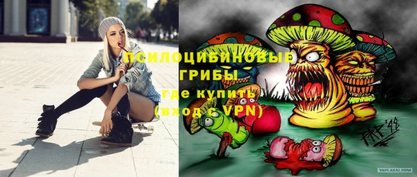 MDMA Premium VHQ Ельня