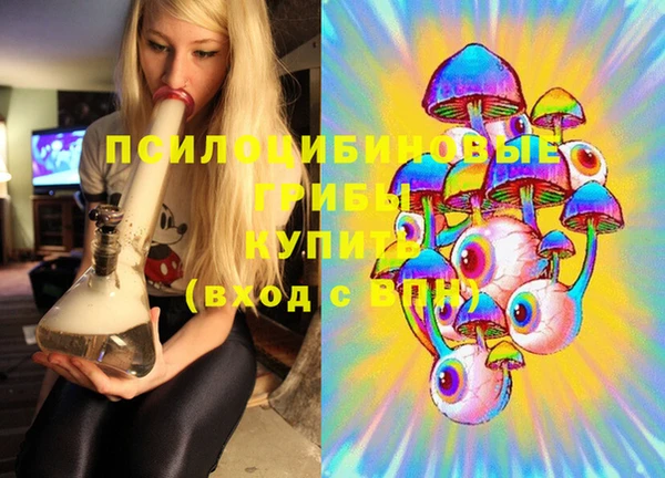 мет Елабуга