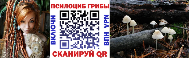 даркнет сайт  Карачев  Галлюциногенные грибы Cubensis 